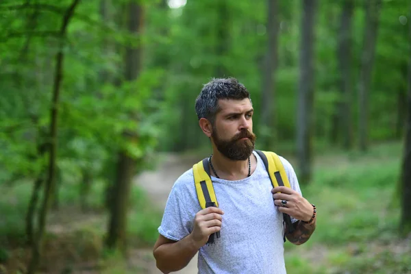 积极健康的人在美丽的森林中远足。在森林中散步的年轻人. — 图库照片