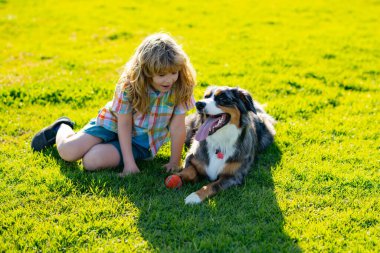 Yavru köpeği olan bir çocuk. Oğlan yazın parkta köpekle oynar..