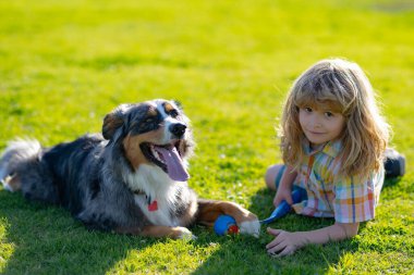 Dışarıda oynayan şirin bir çocuk ve köpek yavrusu. Köpek ve çocuk top yakalama oyunu oynuyorlar. Çocuk köpekle çimenlikte oynuyor. Mutlu çocuk çimenlikte köpek aktif oyunu oynuyor.