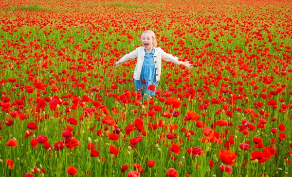 Счастливый ребенок отдыхает на красивом маковом поле. Ребенок веселится на улице. Маленькая девочка играет в поле с красными маками. Весенний фон. — стоковое фото