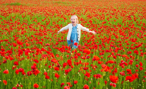 Niño feliz descansando en un hermoso campo de amapola. Niño divirtiéndose al aire libre. Niña jugando en el campo con amapolas rojas. Fondo de primavera. —  Fotos de Stock