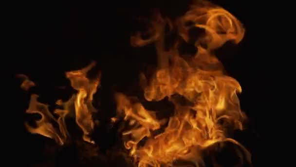 Glühende Flamme. Feuerflammen auf schwarzem Hintergrund. Feuer verbrennen Flamme isoliert, abstrakte Textur. — Stockvideo