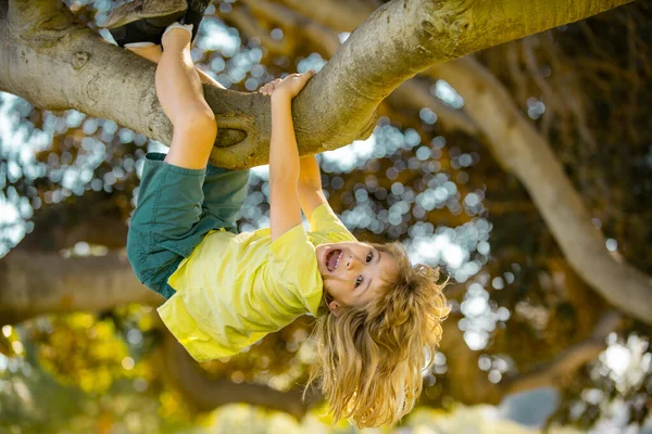 Mignon petit garçon appréciant grimper sur l'arbre le jour de l'été. Les enfants grimpent aux arbres, pendus à l'envers sur un arbre dans un parc. Les enfants aiment la nature à la campagne. — Photo