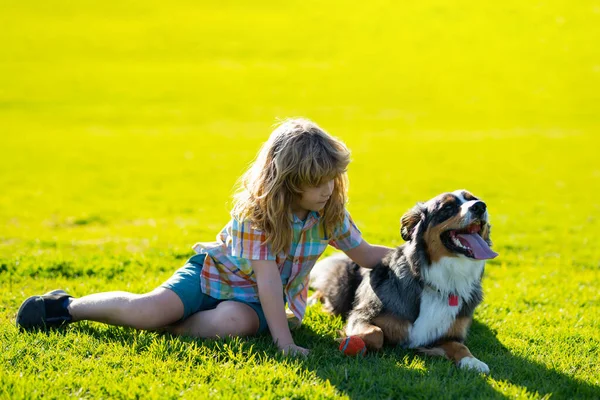 Śmieszny pies. Mały chłopiec z psem na trawie. Dziecko ze zwierzątkiem domowym szczeniak. — Zdjęcie stockowe