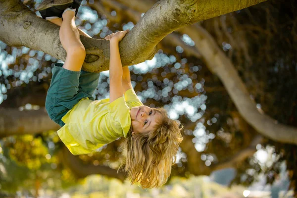 Bambini felici che si arrampicano sull'albero e si divertono nel parco estivo. Bambini che si arrampicano sugli alberi, appesi a testa in giù su un albero in un parco. Protezione dei minori. Concetto di infanzia. — Foto Stock