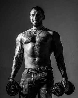 Sakallı ve dövmeli kendinden emin bir adamın portresi. Güç. Yaşam tarzı insan kavramı. Çekici, vahşi, sakallı adam dambıllarla poz veriyor. Sakallı adam. İzole edilmiş gri arkaplan.