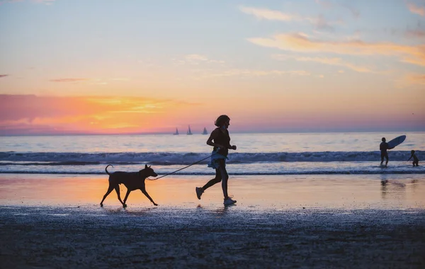 黄金の夕日の背景にビーチで犬と女性。海の風景. — ストック写真