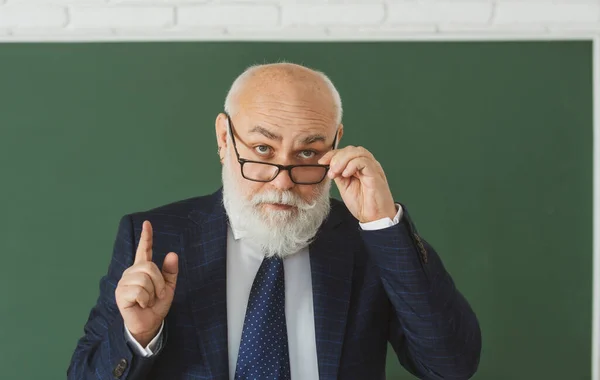 学业上的成功戴眼镜的典雅教授.学校思维教师或大专院校讲座. — 图库照片