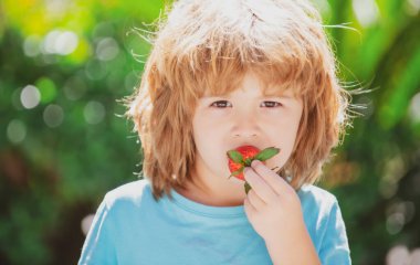 Tatlı çocuk yeşil bahar arka planında çilek yiyor..