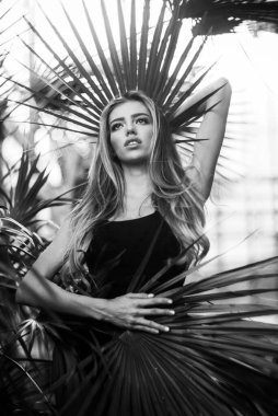 Yeşil bahçedeki sarışın kız. Bahar konsepti Meyve bahçesindeki güzel kız.