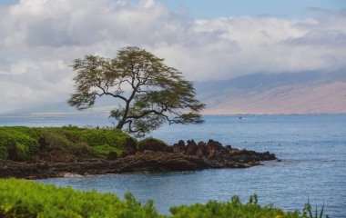 Plaj ve tropikal deniz. Renkli okyanus plajı. Berrak turkuaz su manzarası, Maldivler veya Hawaii.