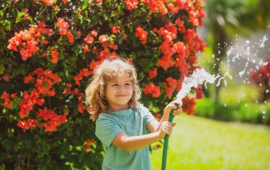Çocuk ev bahçesinde eğleniyor. Çocuk bahçe hortumunu tutuyor. Hasat zamanı arka bahçede çocuklar için açık hava oyunları..