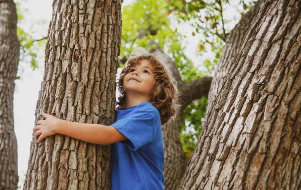 Young boy hugging a tree branch. Little boy kid on a tree branch. Child climbs a tree.