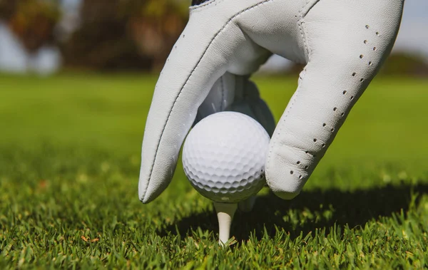 Mão colocando bola de golfe no tee no campo de golfe. Bola de golfe na grama perto. — Fotografia de Stock