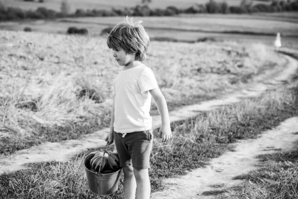 儿子种植在地上。村里的小农场主农民儿童概念。小农场主男孩在田里干活。可爱的小孩在农场干活. — 图库照片