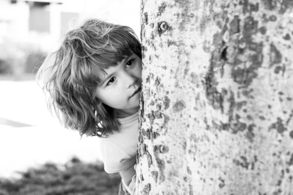 Kinderspelletjes. Verstoppertje spelen. Een kiekeboe. Kleine jongen verstopt door boom. — Stockfoto