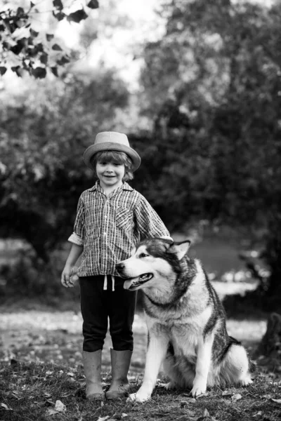 冒険と休暇の子供の概念。自然を背景にした子供や犬。子供じみたな。子供やペットと自然散策。かわいい犬と面白い子供の男の子. — ストック写真
