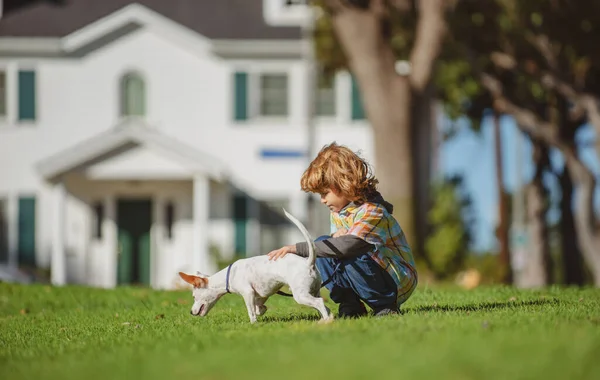 Mladý chlapec hraje se štěňátkem pes sedí na trávě. — Stock fotografie