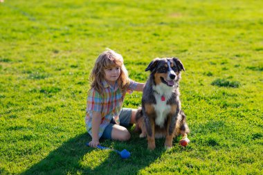 Mutlu çocuk yeşil çim tarlasında köpekle oynuyor. Yavru köpeği olan sevimli bir çocuk, açık hava yazı..