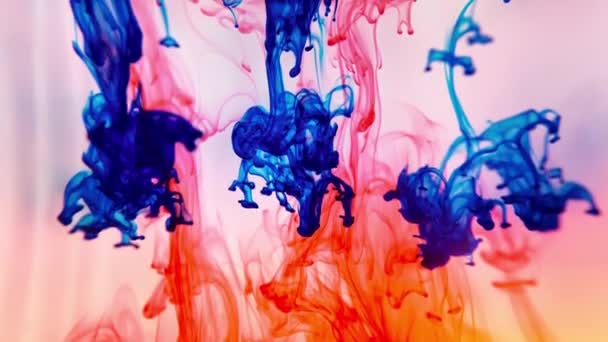 Color paint splatter. Colour dissolve. Spray paint blot element. Colorful ink stains mess. Watercolor spots. — Stock Video