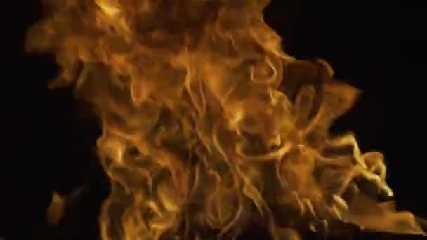 Duivelse vlam, hel concept. Vuurvlammen, rood en geel, thermische energie bij de brandstof. Brandende lichten op een zwarte achtergrond. — Stockvideo