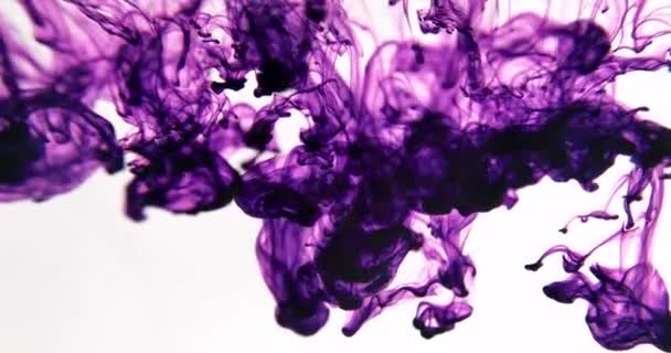 Color paint drops in water, abstract colour mix, drop of ink color mix paint falling on water Colorful paints splash swirling underwater. Fluid colorful abstract. — Stock Video