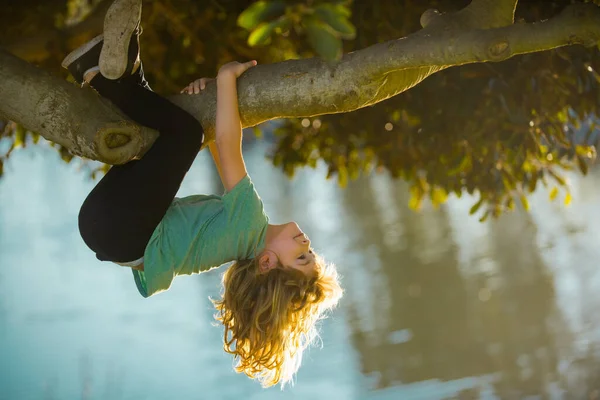 Loisirs d'enfance, enfants heureux grimpant à l'arbre et s'amusant dans le parc d'été. Jeune garçon jouant et grimpant à un arbre et accrochant à l'envers. adolescent garçon jouer dans un parc. — Photo