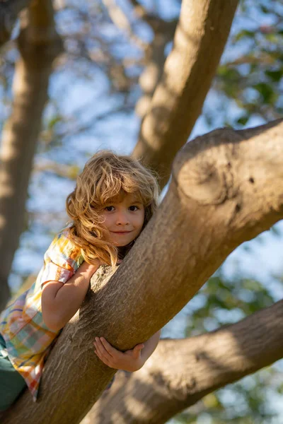Kleiner, blonder Junge klettert auf Baum. Glückliches Kind, das im Garten spielt und auf den Baum klettert. Junge spielt und klettert auf Baum und Ast. Teen junge spielend im ein park. — Stockfoto