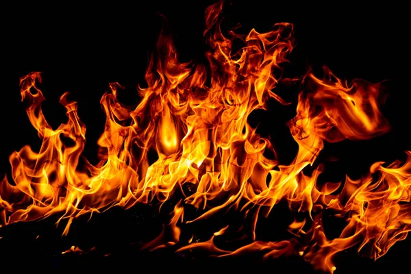 Fire flame. Burn lights on a black background. — Stock Photo, Image