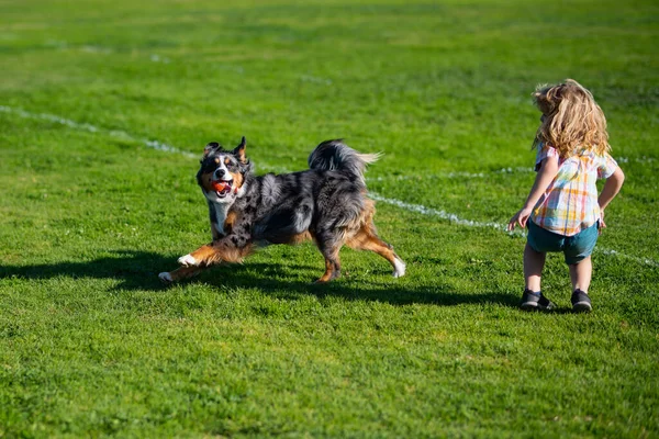 Ragazzo biondo che gioca e corre con il cane sul prato nel parco. Il suo animale domestico attentamente guarda il proprietario. Il cagnolino. — Foto Stock