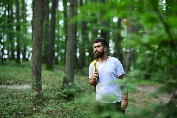 Patikoija vaeltaa metsässä. Patikoija kävelee metsässä. Retkeilijä reppu patikointi kauniissa metsässä. Valkoihoinen mies malli ulkona luonnossa. — kuvapankkivalokuva