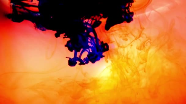 Efeito de explosão abstrato colorido. A cor da pintura gira em água. Cor líquido no movimento da água. Fluido abstrato colorido. — Vídeo de Stock