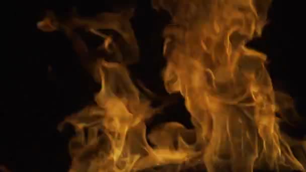 悪魔の炎、地獄の概念。火の炎火を燃やせ。概要炎炎の背景. — ストック動画