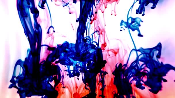 彩色涂料滴在水里，抽象的彩色涂料滴在水中，墨色涂料滴在水面上，彩色涂料飞溅在水下。稀疏的混色. — 图库视频影像