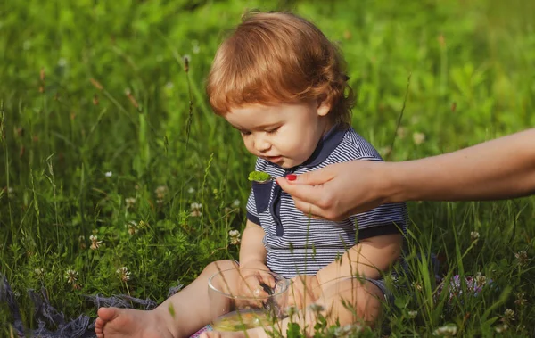 Lindo bebé comiendo comida saludable. Alimentación con cuchara. Madres alimentando a mano al bebé con una cuchara. — Foto de Stock
