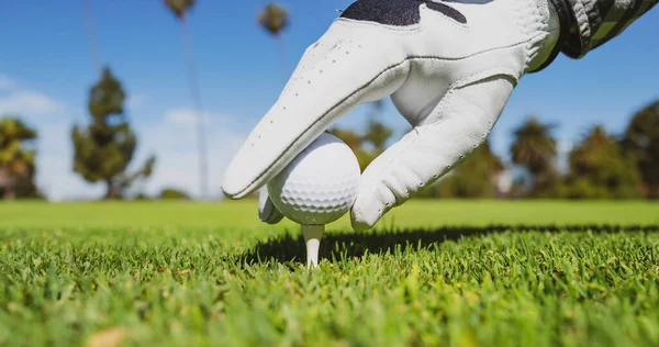 Mão em luvas de golfe colocando bola de golfe no tee no campo de golfe. Bola de golfe está no tee no fundo de grama verde. — Fotografia de Stock