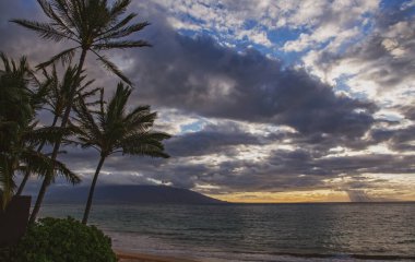 Kum, okyanus, palmiye yaprakları, palmiye ağaçları ve mavi gökyüzü olan tropik deniz plajı. Yaz sahili geçmişi. Hindistan cevizi palmiyeleri.