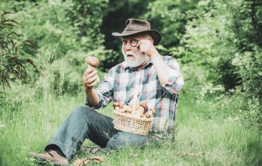 Mutlu Büyükbaba-yaz ve hobileri. Yaşlı adam yürüyor. Dede Emeklici. Ormanda kıdemli yürüyüş. Emeklilik. Mantar sepet ve sürpriz yüz ifadesi ile Büyükbaba.