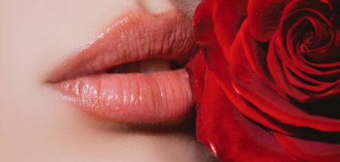 Dudaklar kırmızı gülle yakınlaşır. Kozmetik ürünleri reklam yapıyor. Güzel dişi mükemmel kırmızı dudaklar..