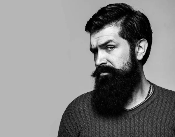 Ritratto di uomo serio fiducioso ha barba e baffi, guarda seriamente, isolato su grigio. Hipster ragazzo modelli in studio. — Foto Stock