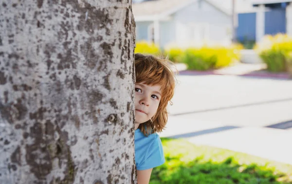 Child play hide and seek. Peekaboo. Little kid hide by tree. — Stock Photo, Image