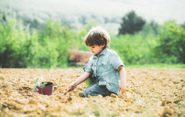 Küçük bir çocukla bahçe işleri. Çocuk bakımı bitkileri. Arka bahçede çocuk bahçesinde. Mutlu küçük çiftçi tarlada eğleniyor.