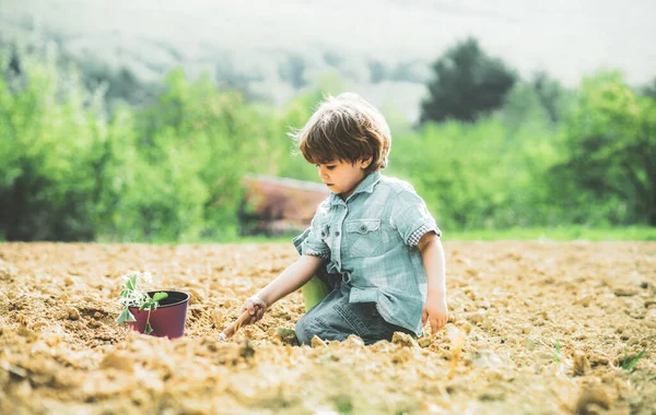 Attività di giardinaggio con bambini piccoli. Piante per l'infanzia. Giardinaggio dei bambini nel giardino sul retro. Buon piccolo agricoltore divertirsi sul campo . — Foto Stock