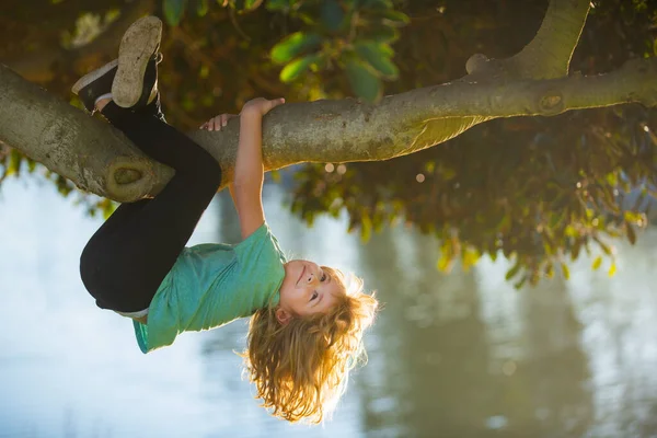 Šťastné dítě, jak si hraje na zahradě a šplhá na strom. Vzhůru nohama. Děti milují přírodu na venkově. — Stock fotografie