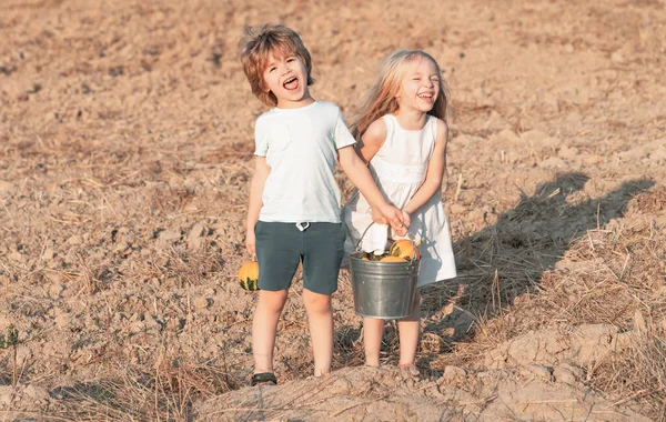 Gondtalan gyerekkor. Két kisgyerek a vidéki farmon. Aranyos kislány és fiú a szabadban dolgoznak a farmon. Gyerekkori koncepció. A gyerekek élvezik a farmot. Öko-mezőgazdasági dolgozók. — Stock Fotó