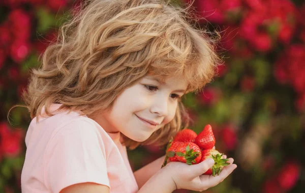 Ten kluk jí čerstvé jahody. Krásné dítě jí jahody. — Stock fotografie