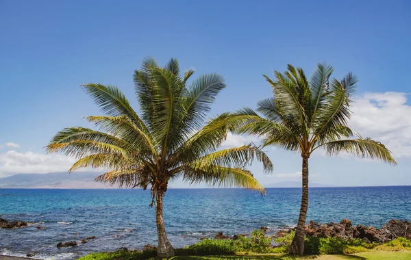 Playa en la Isla de Maui, Aloha Hawaii. —  Fotos de Stock