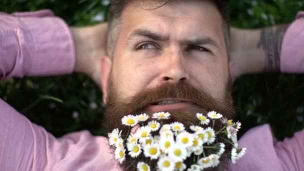 Homme barbu avec une moustache élégante montrant la barbe avec des fleurs de printemps sur le visage. Un hipster allongé sur de l'herbe avec de la camomille dans la barbe. Guy avec des pissenlits à la barbe relaxant, vue sur le dessus. — Video
