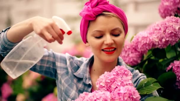 Atraktivní roztomilá žena zahradník na dvorku cere hortenzie květiny. Zavlažování květin. — Stock video