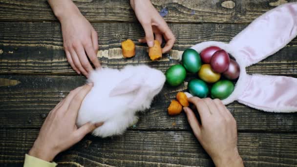 Ovanifrån av ett bord med objekt för att skapa en komposition för påsk. Händerna matar kaninen på bordet. — Stockvideo
